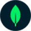 MongoDB 官网Logo