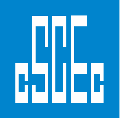 ruibiaoai.cn 官网Logo